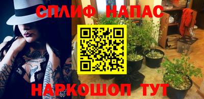mdpv Заводоуковск