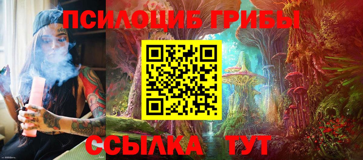Псилоцибиновые грибы прущие грибы Уфа